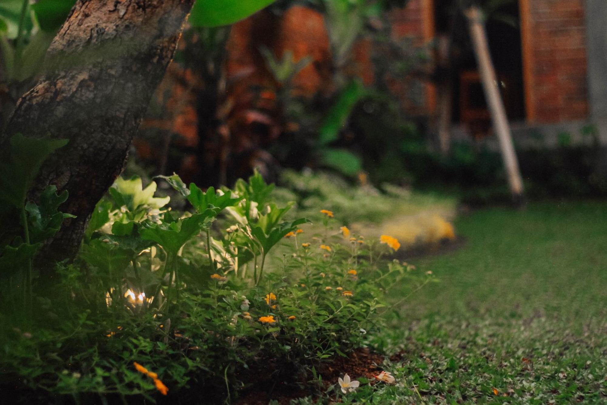 The Govardhan Homestay Canggu Extérieur photo